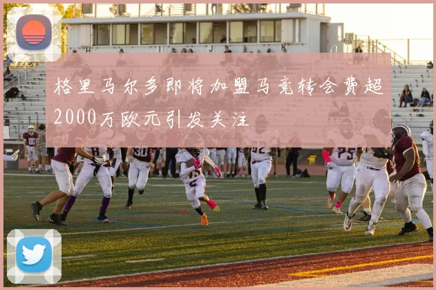 格里马尔多即将加盟马竞转会费超2000万欧元引发关注